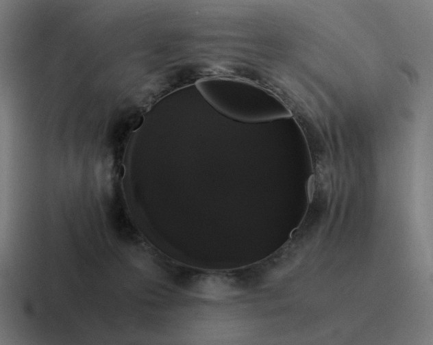 X0000116780223200912311903