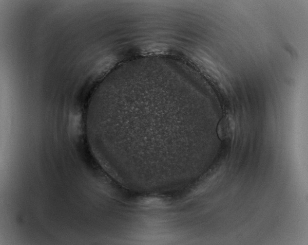 X0000116780224200912311903