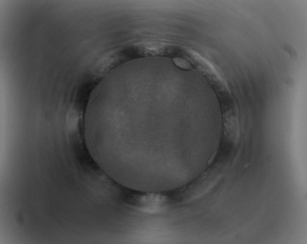 X0000116780225200912311903