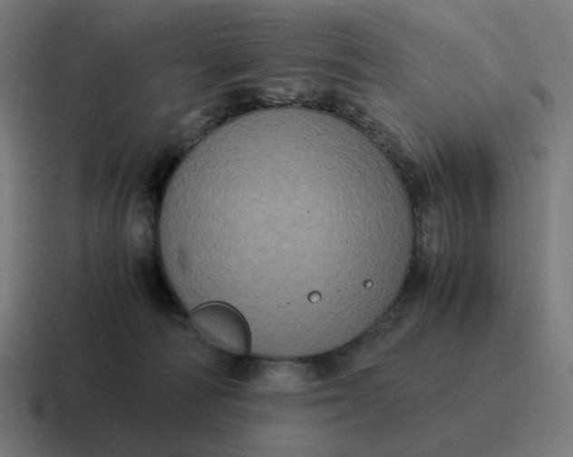 X0000116780226200912311903