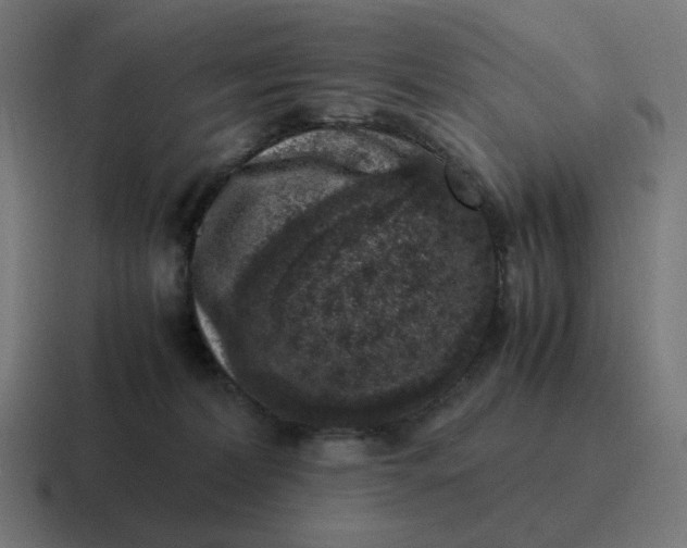 X0000116780228200912311903