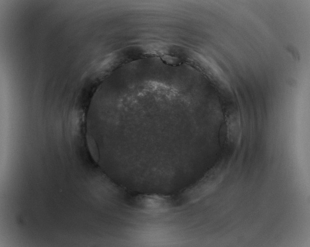 X0000116780229200912311903