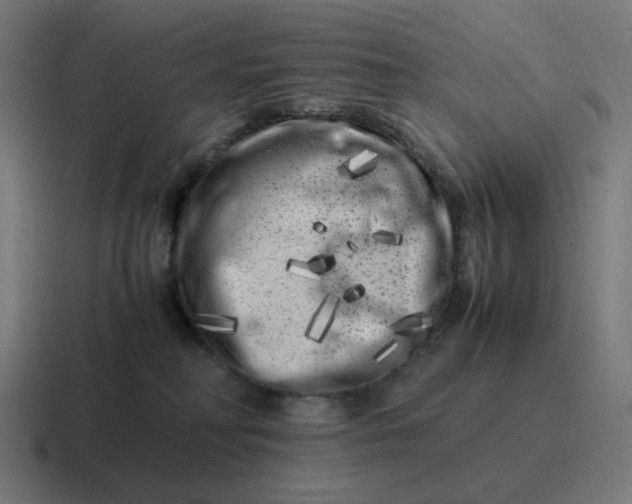 X0000116780230200912311903