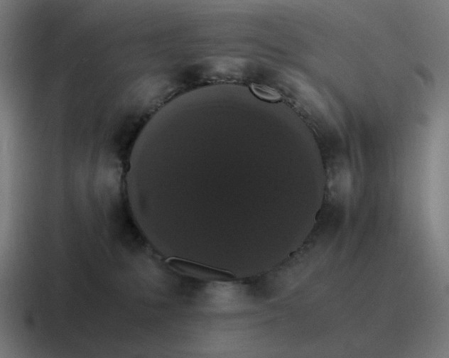 X0000116780231200912311903