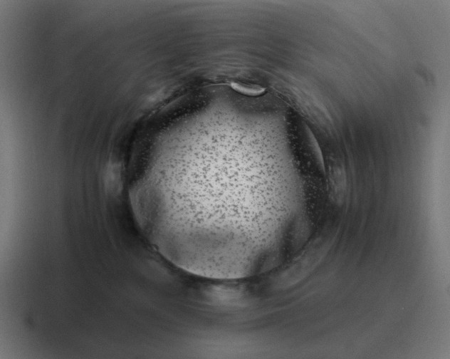 X0000116780232200912311903