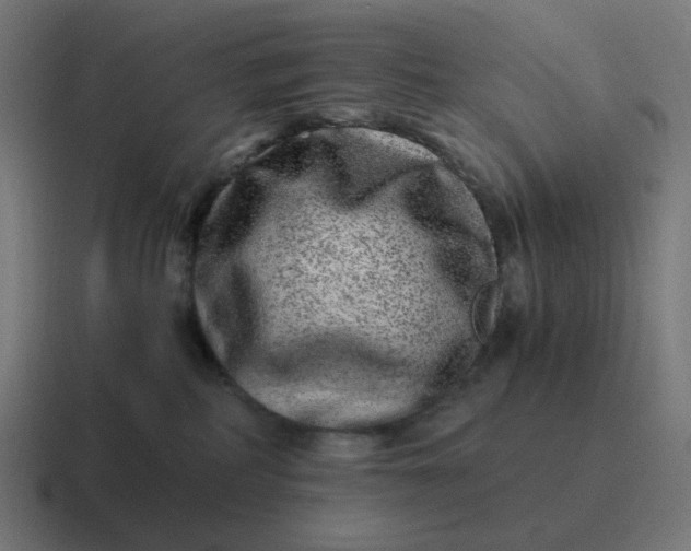 X0000116780234200912311903