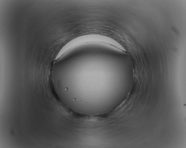 X0000116780235200912311903