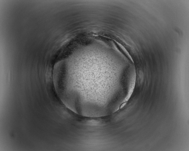 X0000116780236200912311903