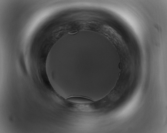 X0000116780239200912311903