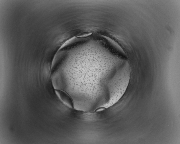 X0000116780240200912311903