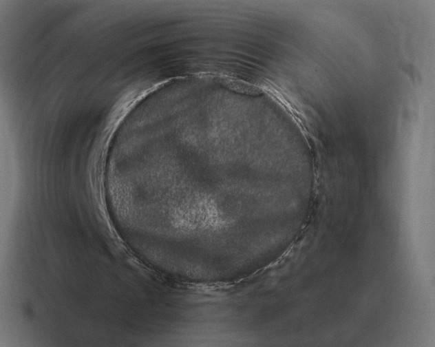 X0000116780241200912311903