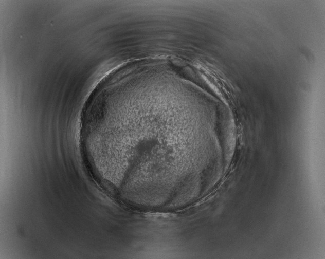 X0000116780242200912311903