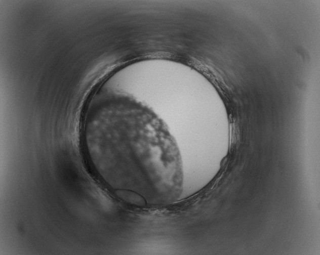 X0000116780243200912311903