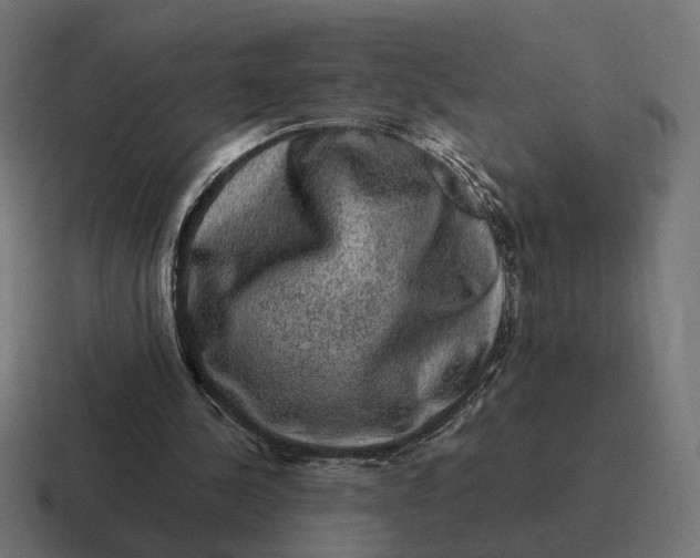 X0000116780244200912311903