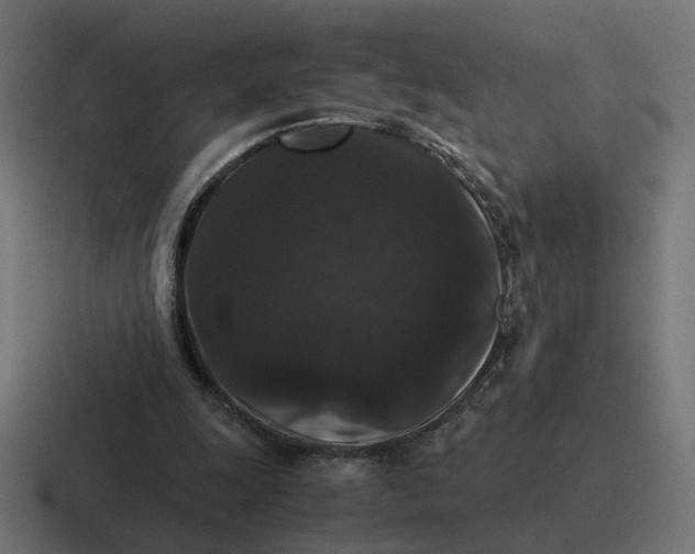 X0000116780247200912311903