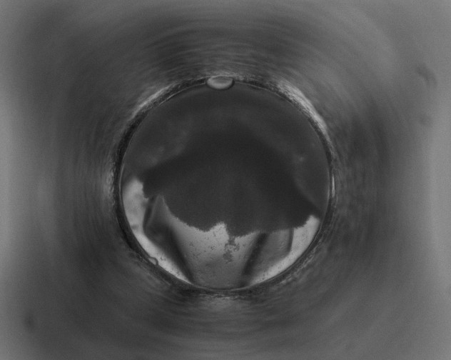 X0000116780249200912311903