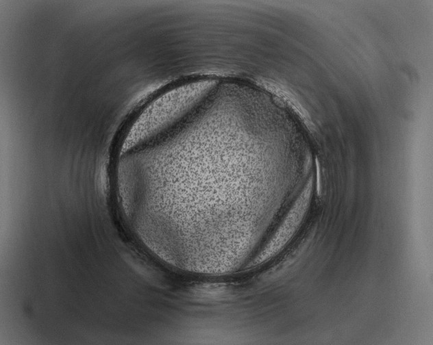 X0000116780252200912311903