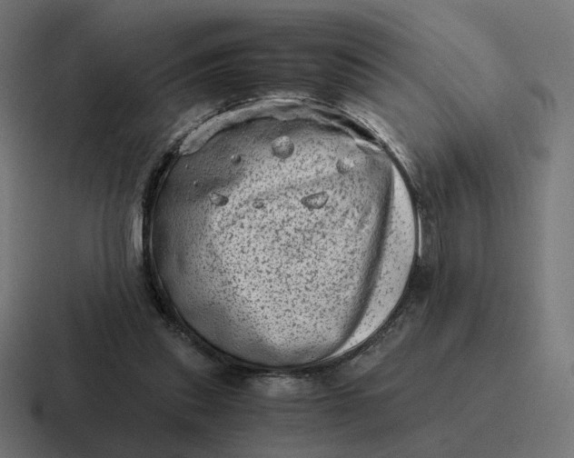 X0000116780253200912311903