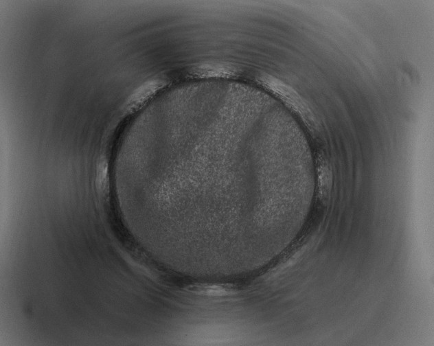 X0000116780254200912311903