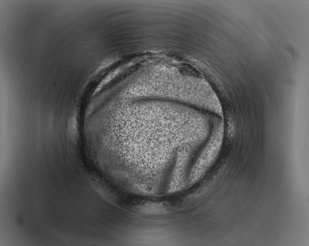 X0000116780256200912311903