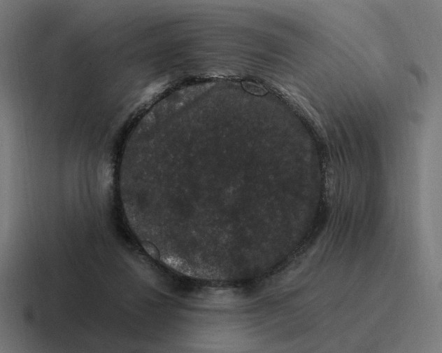 X0000116780260200912311903