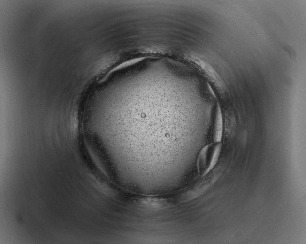 X0000116780261200912311903