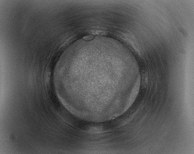 X0000116780263200912311903