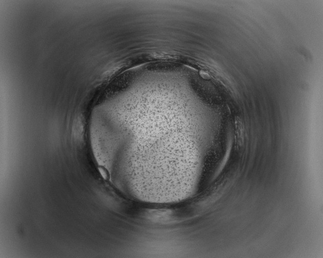 X0000116780266200912311903