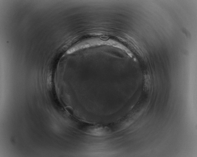 X0000116780267200912311903