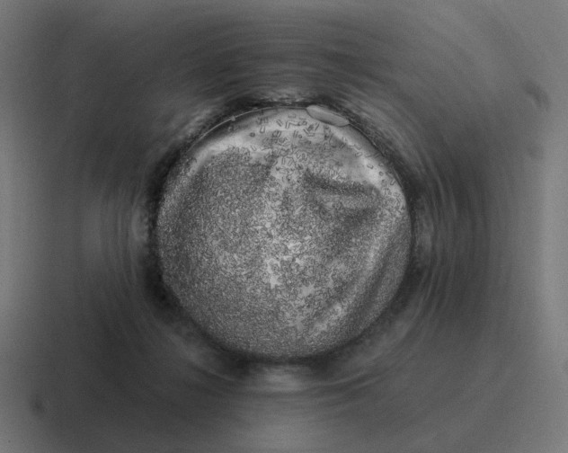 X0000116780268200912311903