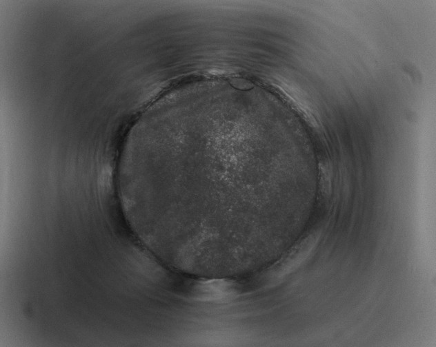 X0000116780269200912311903