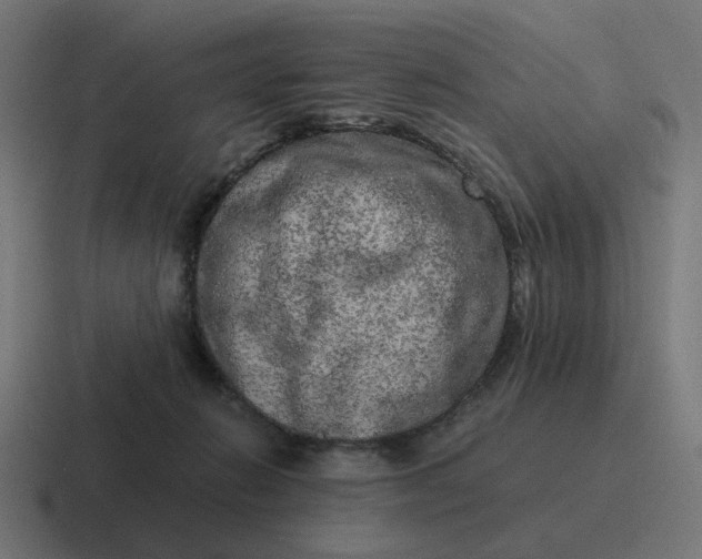 X0000116780270200912311903