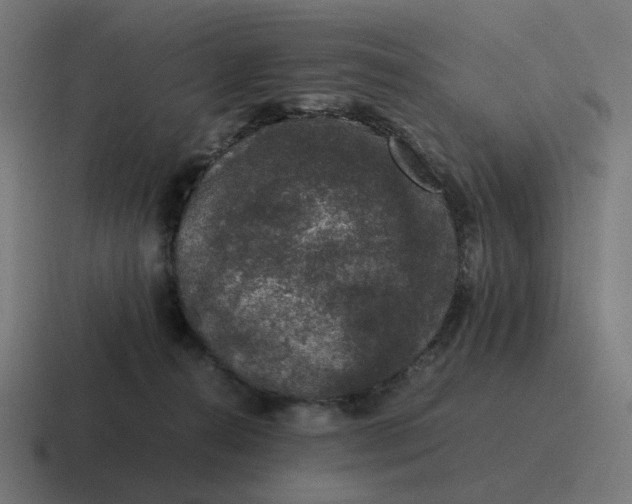 X0000116780272200912311903