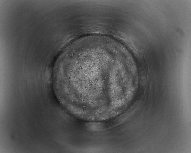 X0000116780273200912311903