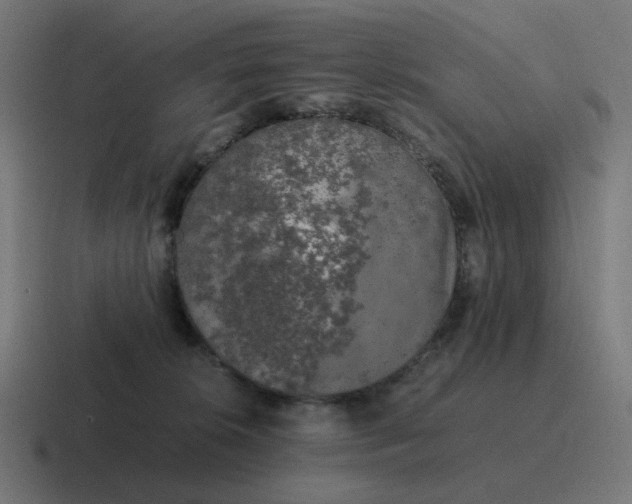 X0000116780276200912311903