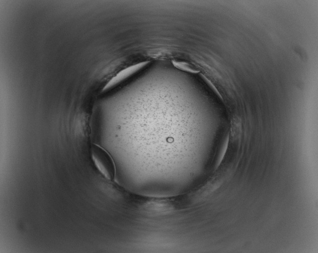 X0000116780280200912311903