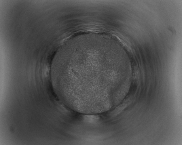 X0000116780281200912311903