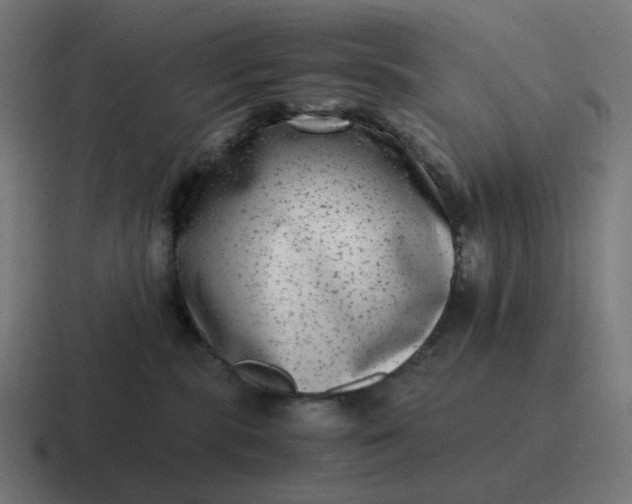 X0000116780283200912311903