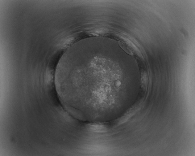 X0000116780284200912311903