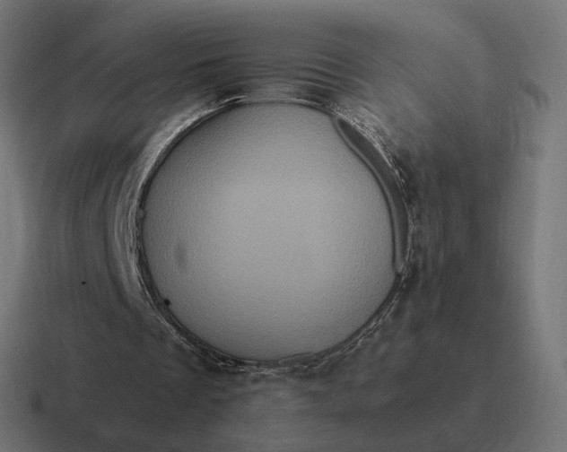 X0000116780289200912311903