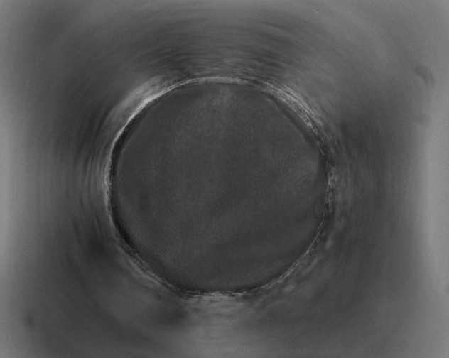 X0000116780290200912311903