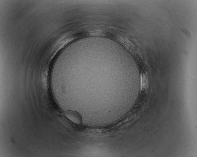 X0000116780291200912311903