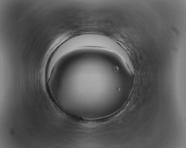 X0000116780293200912311903