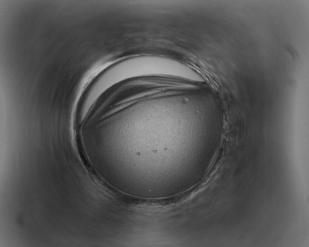 X0000116780294200912311903