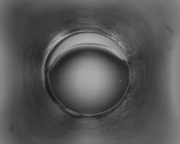 X0000116780296200912311903