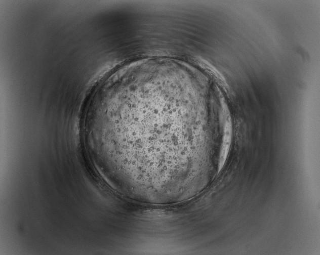 X0000116780298200912311903