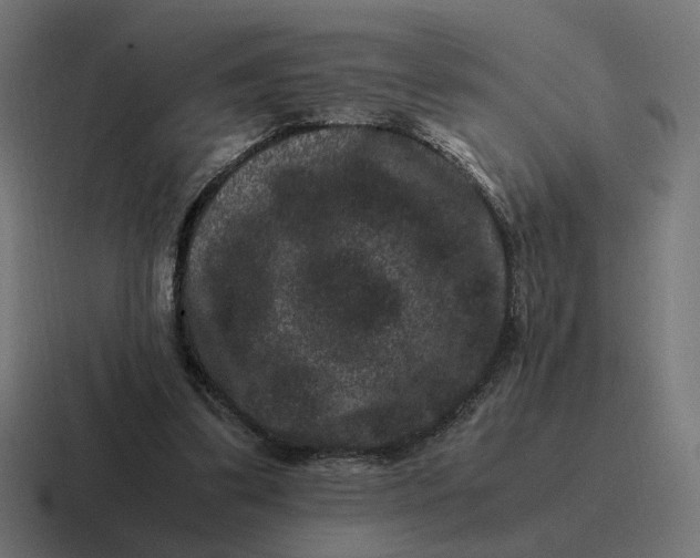 X0000116780299200912311903