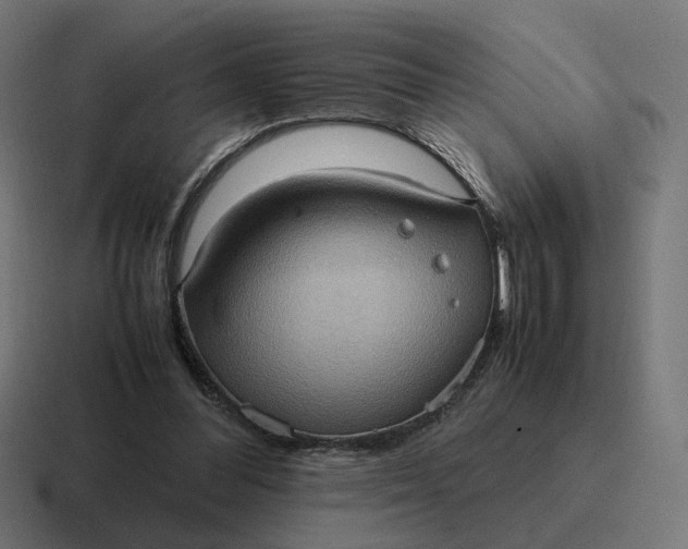 X0000116780300200912311903