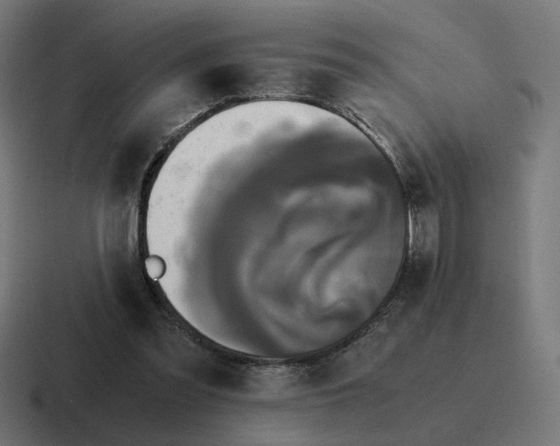 X0000116780301200912311903