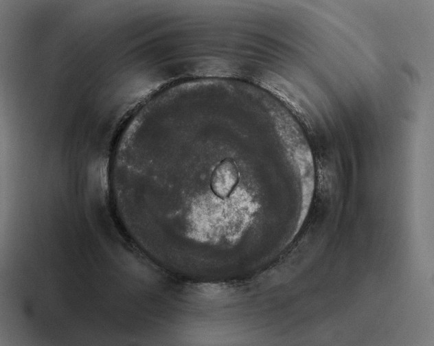 X0000116780302200912311902